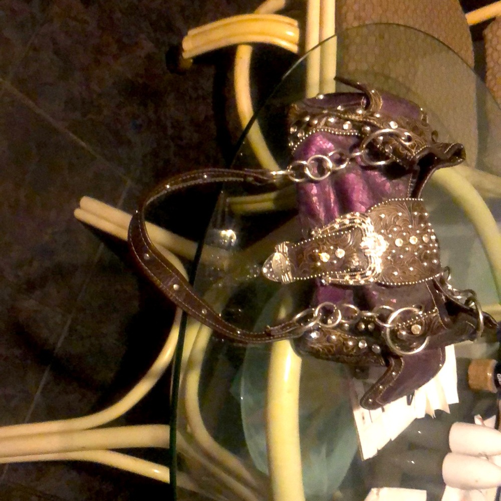 Purple purse that I purchased at thrift store .I have another an don’t need it .